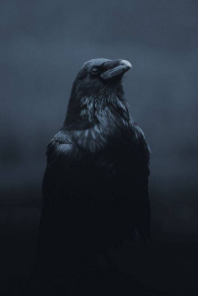 File:JackNevermore.png