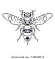 Thumbnail for version as of 20:42, 15 October 2022