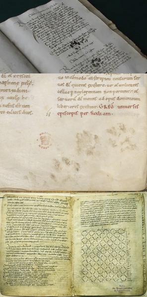 File:MMMCC - Kitten A1.jpg