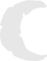 Thumbnail for version as of 19:26, 24 February 2022