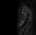 Thumbnail for version as of 06:23, 31 January 2024