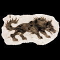Thumbnail for version as of 05:53, 2 November 2022