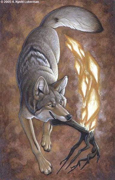 File:Coyote.jpg