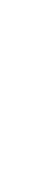 File:RaulName.png