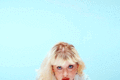 Thumbnail for version as of 00:34, 12 January 2023