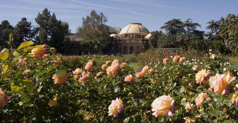 File:Expo-epicc-rose-garden.jpg