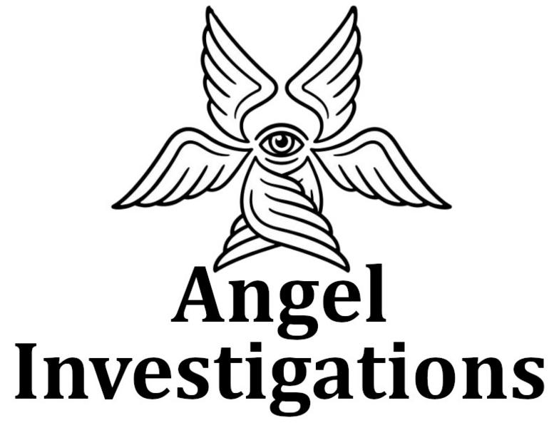 File:Angel Investigations.jpg
