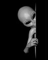 Thumbnail for version as of 18:11, 10 February 2023