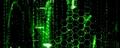 Thumbnail for version as of 22:24, 6 February 2025
