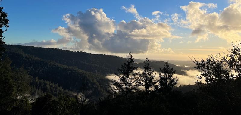 File:CoastalFog.jpg