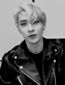 Thumbnail for version as of 19:20, 23 March 2022