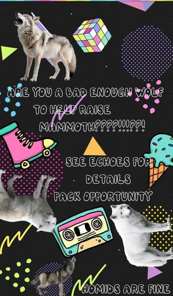 File:Pack-advertisement.jpg