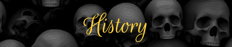 File:Vithistory.png
