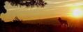 Thumbnail for version as of 02:30, 9 May 2023