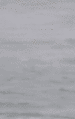 Thumbnail for version as of 12:40, 22 July 2022