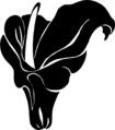 Thumbnail for version as of 04:02, 3 June 2024