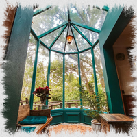 Looking out the main bay window.
