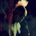 Thumbnail for version as of 00:55, 12 January 2023