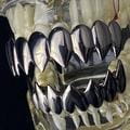 Thumbnail for version as of 22:16, 2 May 2022