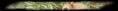 Thumbnail for version as of 18:12, 8 January 2023