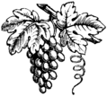 Thumbnail for version as of 04:13, 16 July 2024